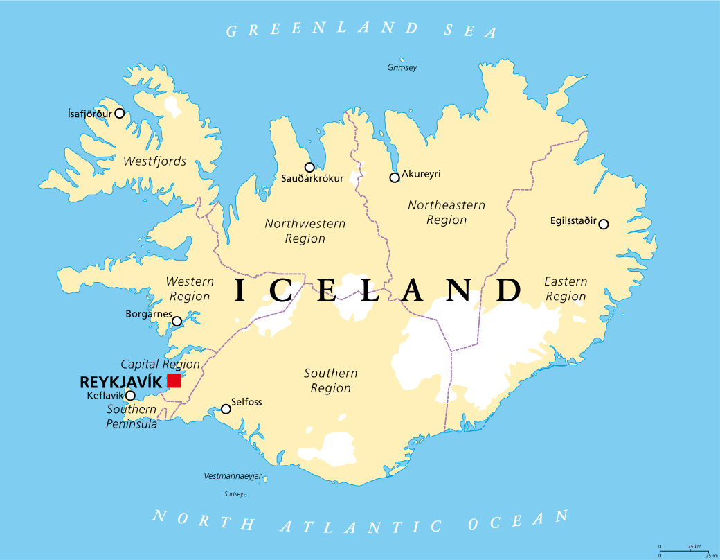 Panorama Reykjavíku i zabudowa stolicy Islandii