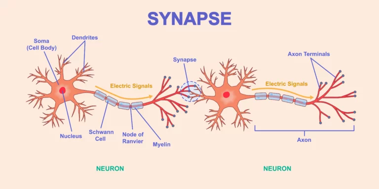 Neuropsycholog online